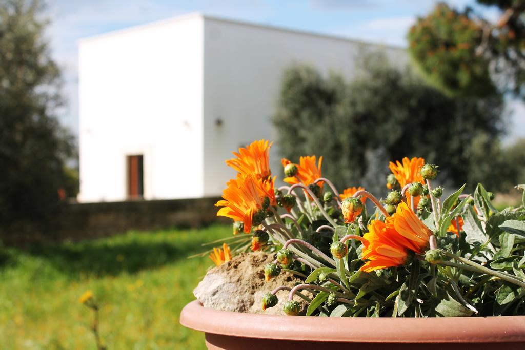 Masseria Marico Кастелланета Номер фото