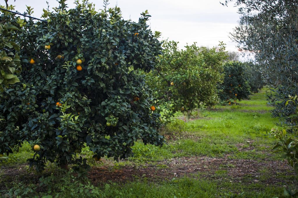 Masseria Marico Кастелланета Екстер'єр фото