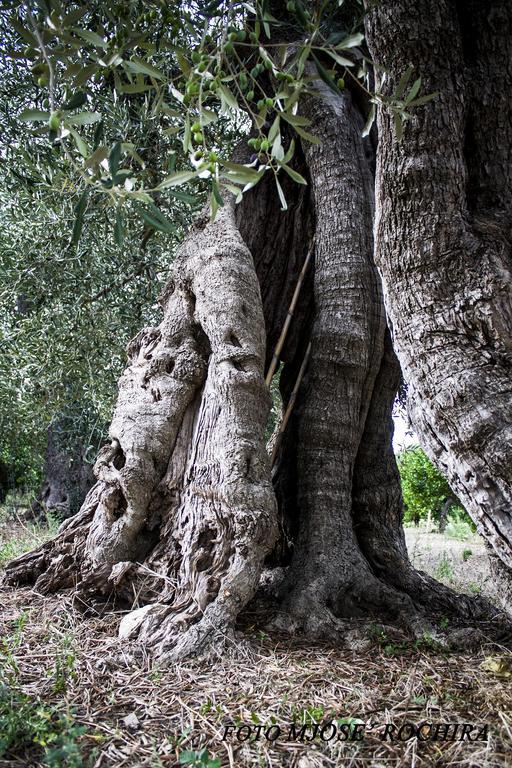 Masseria Marico Кастелланета Екстер'єр фото
