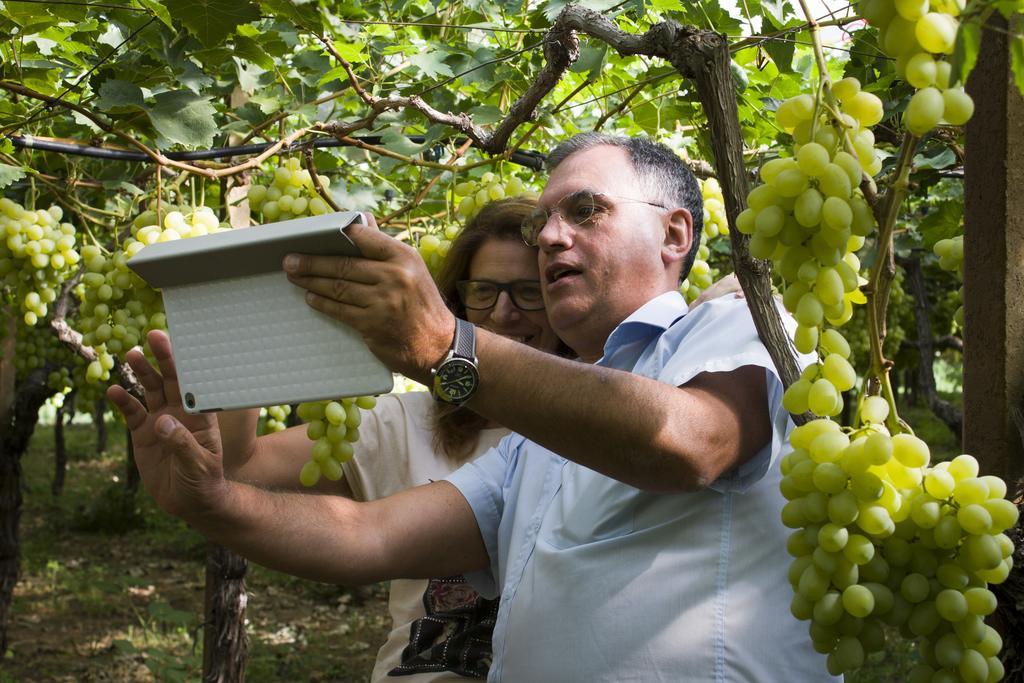 Masseria Marico Кастелланета Екстер'єр фото