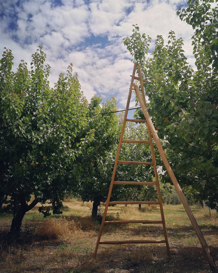 Masseria Marico Кастелланета Екстер'єр фото